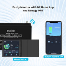 Load image into Gallery viewer, 12V 100Ah Lithium Iron Phosphate Battery w/ Bluetooth