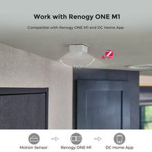 Load image into Gallery viewer, RENOGY Motion Sensor