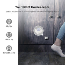 Load image into Gallery viewer, RENOGY Motion Sensor