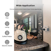 Load image into Gallery viewer, RENOGY Smart Plug