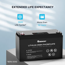 Load image into Gallery viewer, 24V 50Ah Lithium Iron Phosphate Battery