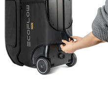 Load image into Gallery viewer, DELTA Pro Bag