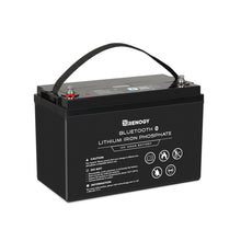 Load image into Gallery viewer, 12V 100Ah Lithium Iron Phosphate Battery w/ Bluetooth