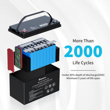 Load image into Gallery viewer, 12V 100Ah Lithium Iron Phosphate Battery w/ Bluetooth