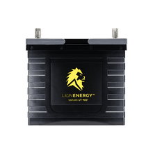 Load image into Gallery viewer, Lion Safari UT 700