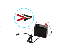 Load image into Gallery viewer, RENOGY MC4 to Alligator Clips 14 AWG Cable