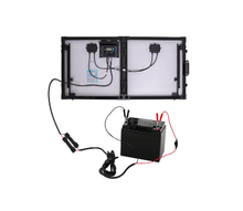 Load image into Gallery viewer, RENOGY MC4 to Alligator Clips 14 AWG Cable