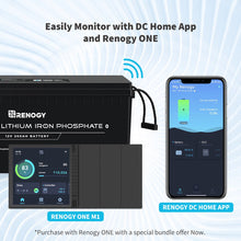 Load image into Gallery viewer, Renogy 12V 200Ah Lithium Iron Phosphate Battery w/ Bluetooth