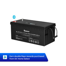 Load image into Gallery viewer, Renogy 12V 200Ah Lithium Iron Phosphate Battery w/ Bluetooth