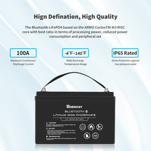 Load image into Gallery viewer, 12V 100Ah Lithium Iron Phosphate Battery w/ Bluetooth