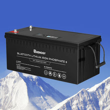 Load image into Gallery viewer, Renogy 12V 200Ah Lithium Iron Phosphate Battery w/ Bluetooth