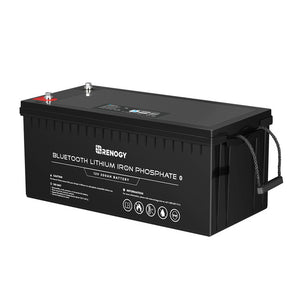 Renogy 12V 200Ah Lithium Iron Phosphate Battery w/ Bluetooth