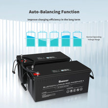 Load image into Gallery viewer, Renogy 12V 200Ah Lithium Iron Phosphate Battery w/ Bluetooth