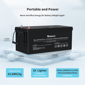 Renogy 12V 200Ah Lithium Iron Phosphate Battery w/ Bluetooth