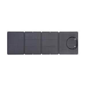 EcoFlow RIVER + 2x 110W Solar Panel